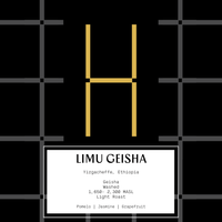 Ethiopia Limu Geisha (espresso & filter)