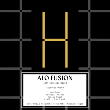 Ethiopia Alo Fusion