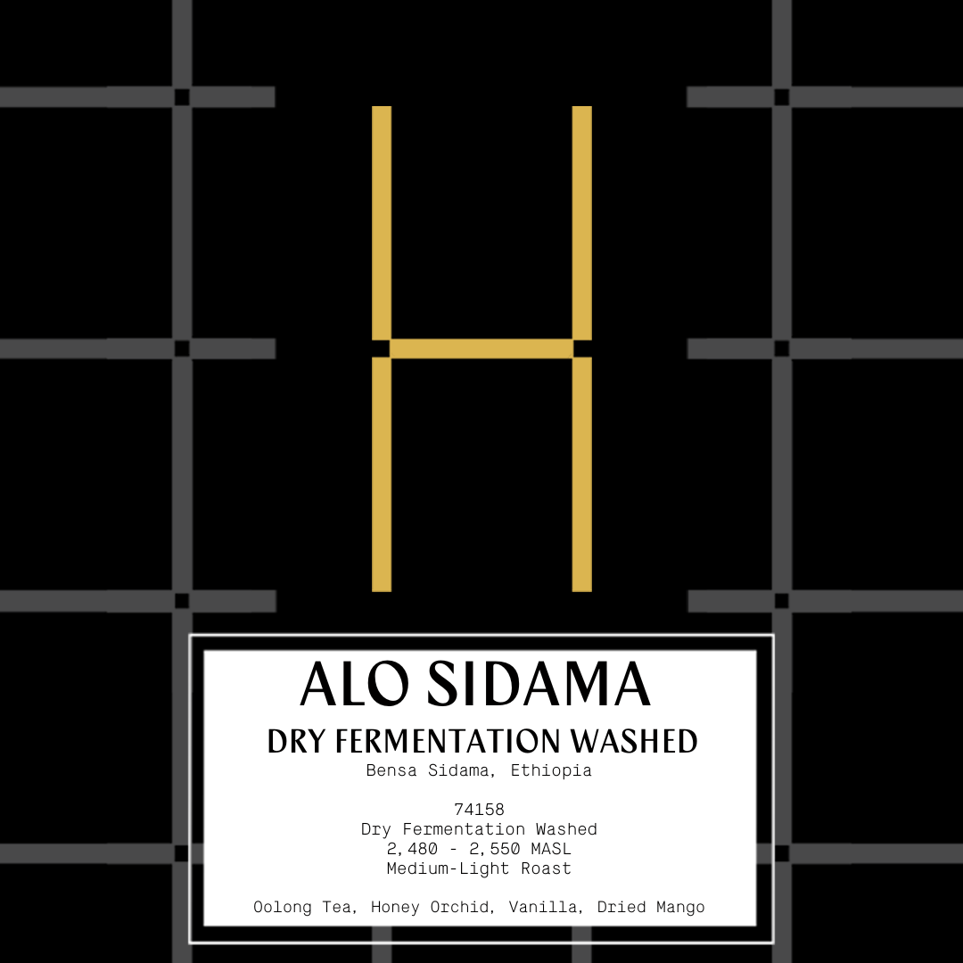Ethiopia Alo Sidama - Dry Fermentation Washed