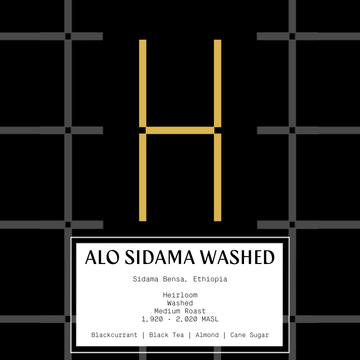 Ethiopia ALO Sidama - Washed (espresso & filter)