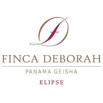 Finca Deborah - Elipse