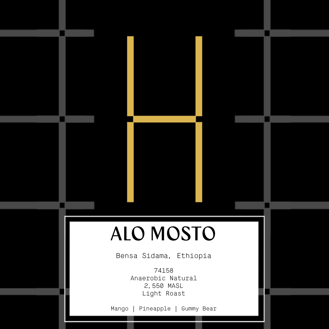 Ethiopia Alo Mosto - Anaerobic Natural