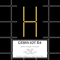 Ethiopia Gesha Village Lot 84