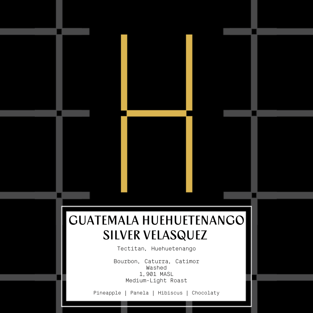 Guatemala Huehuetenango Silver Velasquez
