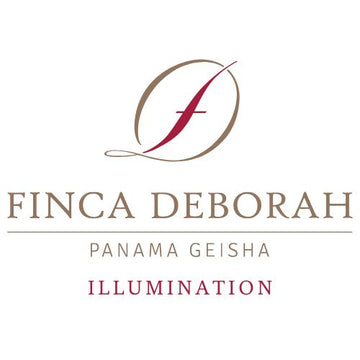 Finca Deborah - Illumination