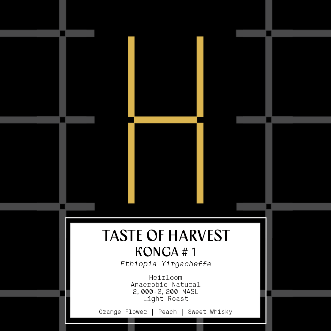 Taste of Harvest - Ethiopia Konga (