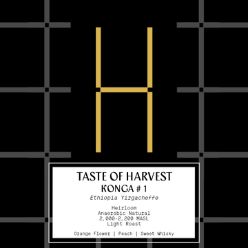 Taste of Harvest - Ethiopia Konga (#1)