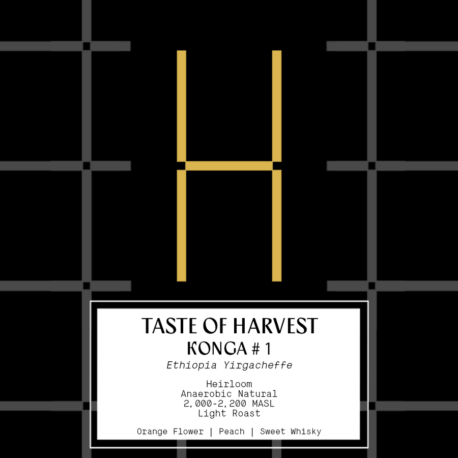 Taste of Harvest - Ethiopia Konga (#1)
