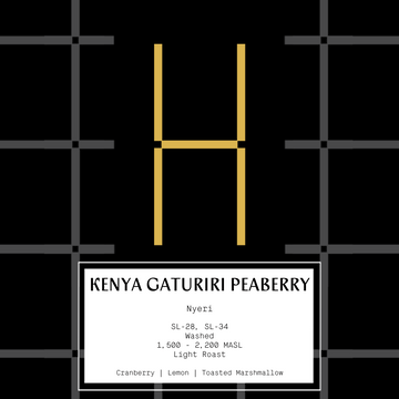 Kenya Gaturiri Peaberry