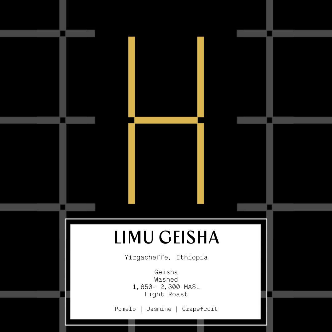 Ethiopia Limu Geisha (espresso & filter)