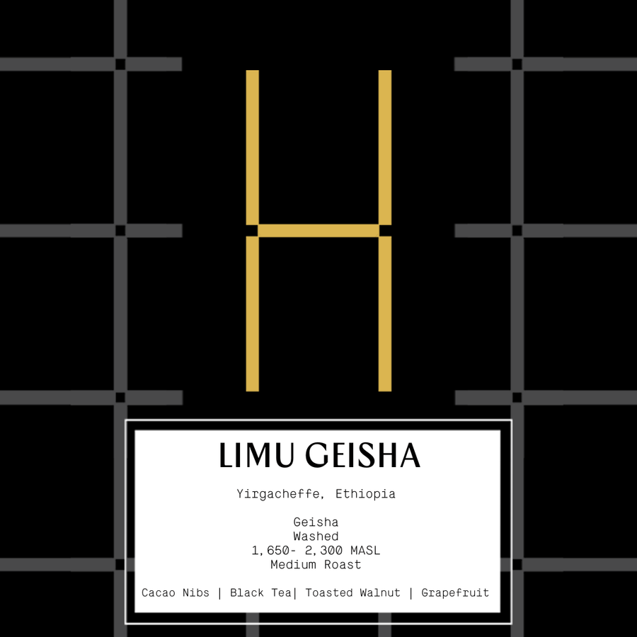 Ethiopia Limu Geisha (espresso & filter)