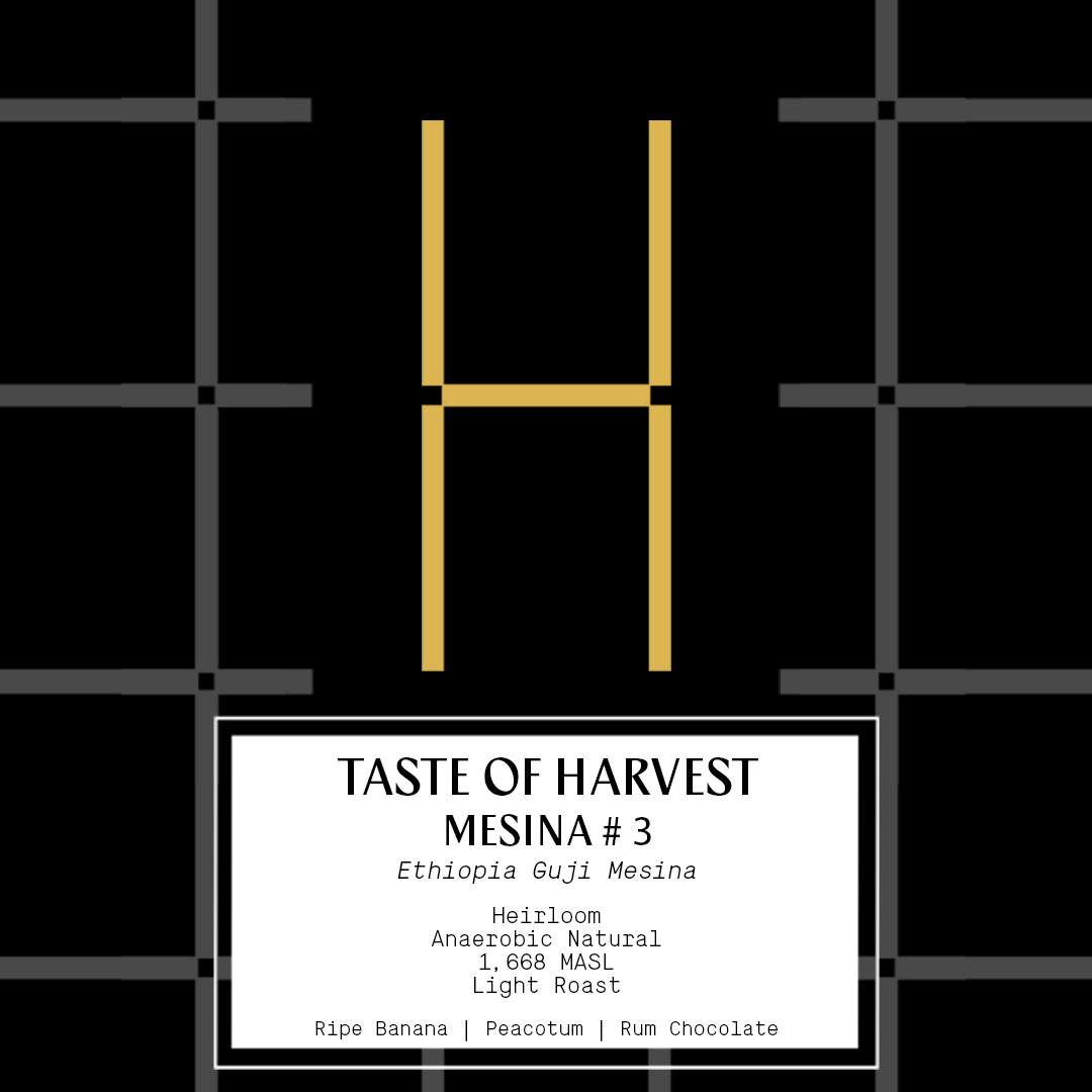 Taste of Harvest - Ethiopia Mesina (