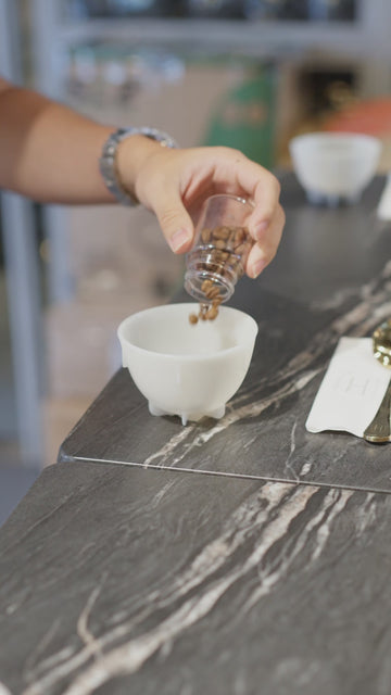 Coffee Cupping Session - 12 FEB 2025 - Ayala Triangle