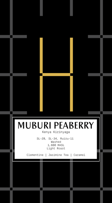 Kenya Kirinyaga Muburi Peaberry